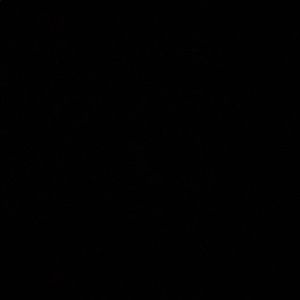 Meet your Posher, Jocelyn